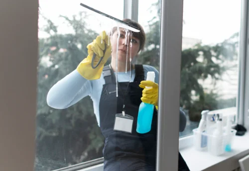 Nettoyage de vitres intérieures et extérieures à Sancey